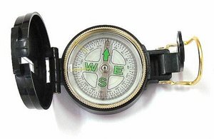 ���� ���� 310 IGUANA