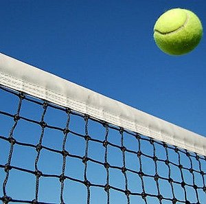 ��� ������� ����� ��� LENWAVE 4493