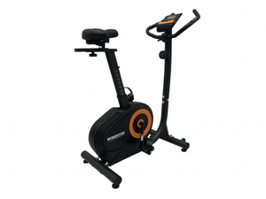 ����� ���� ������� ��� MOMENTUM 06